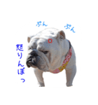 ぶるぶる日和4（個別スタンプ：16）