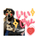 レンくん(犬猫)（個別スタンプ：13）