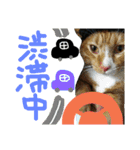 レンくん(犬猫)（個別スタンプ：26）