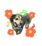 レンくん(犬猫)（個別スタンプ：33）