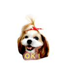 m y   dogs（個別スタンプ：3）