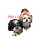 m y   dogs（個別スタンプ：5）