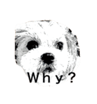 m y   dogs（個別スタンプ：8）