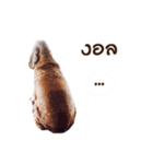Mahbo2（個別スタンプ：1）