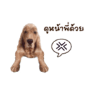 Mahbo2（個別スタンプ：3）