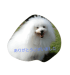 La vita di Bolognese（個別スタンプ：5）