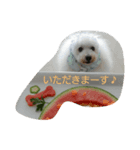 La vita di Bolognese（個別スタンプ：8）