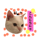 猫語でひとこと（個別スタンプ：2）