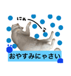 猫語でひとこと（個別スタンプ：3）