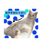 猫語でひとこと（個別スタンプ：4）