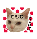 猫語でひとこと（個別スタンプ：15）