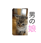 ネコちゃん(♂)と時々ワンちゃん(♀)（個別スタンプ：8）