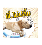 Moneylab（個別スタンプ：2）