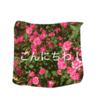 たのしいくらし（個別スタンプ：2）