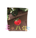 ねこと仲間たち1（個別スタンプ：8）