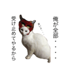 ねこと仲間たち1（個別スタンプ：10）