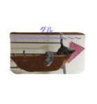 ねこと仲間たち1（個別スタンプ：14）
