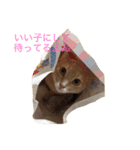 jessy's stamp（個別スタンプ：7）