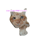 茶猫きっぺい21才（個別スタンプ：2）
