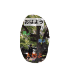 レイチェルルンスタンプ（個別スタンプ：5）