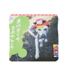 雑種犬ばんとらいん、待望の第二弾(^(工)^)（個別スタンプ：6）