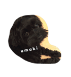 黒犬(うまき)スタンプ（個別スタンプ：10）