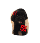 黒犬(うまき)スタンプ（個別スタンプ：12）