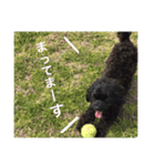 黒犬(うまき)スタンプ（個別スタンプ：16）