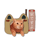 赤毛ねこのジンジャー4（個別スタンプ：5）