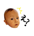 Liomas life01（個別スタンプ：5）