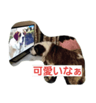 ロイヤルロード2（個別スタンプ：2）
