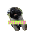 ロイヤルロード2（個別スタンプ：5）