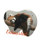 fleming stickers（個別スタンプ：1）
