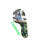 fleming stickers（個別スタンプ：13）
