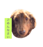 cbs！（個別スタンプ：6）