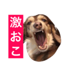 cbs！（個別スタンプ：7）