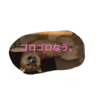 わさちゃん（個別スタンプ：7）
