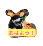 愛犬さくらの日常（個別スタンプ：1）