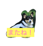 愛犬さくらの日常（個別スタンプ：5）