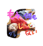 あやとです（個別スタンプ：22）