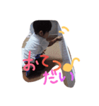 あやとです（個別スタンプ：24）
