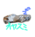 zoohart（個別スタンプ：2）