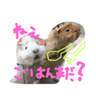 zoohart（個別スタンプ：5）