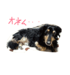 marosi（個別スタンプ：1）