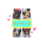 騒がしべびちゃんず（個別スタンプ：1）