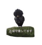 サチキン（個別スタンプ：12）