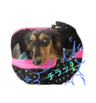 Tom is cool（個別スタンプ：3）