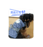 Tom is cool（個別スタンプ：4）