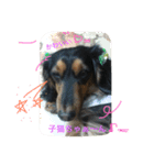 Tom is cool（個別スタンプ：6）
