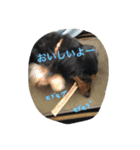 Tom is cool（個別スタンプ：8）